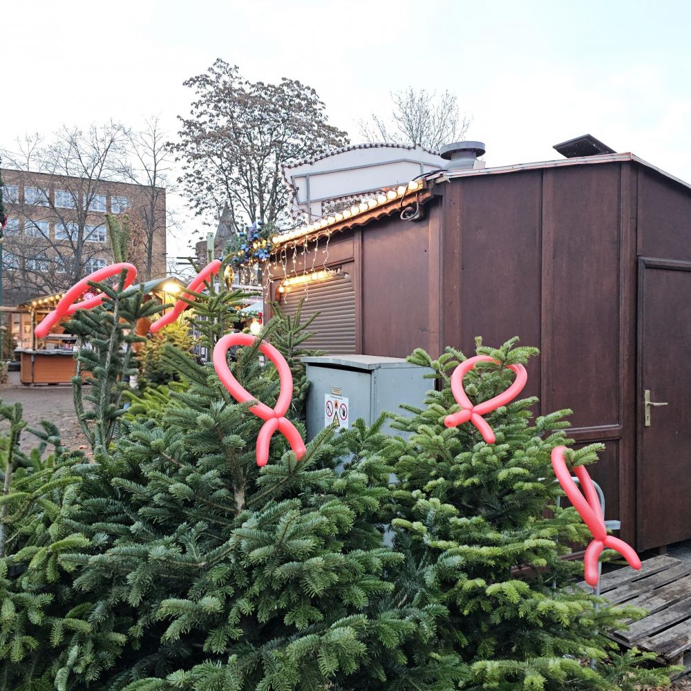 Foto: Aids-Hilfe Lausitz e.V.